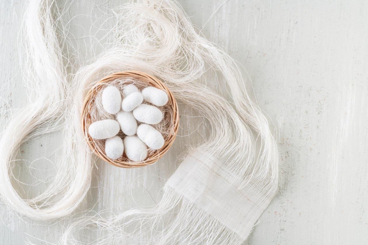 Innovative and Multidirectional Applications of Natural Fibre - Silk : A Review